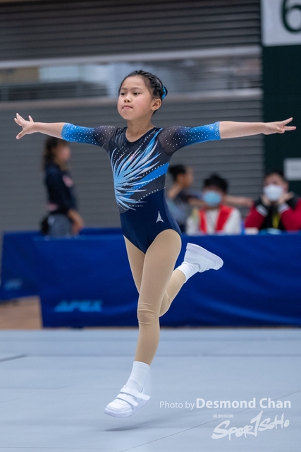 _DES2291