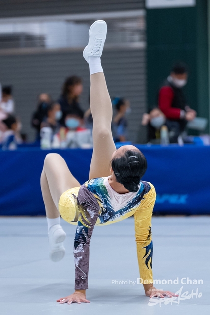 _DES6384
