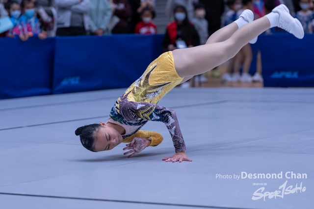 _DES6521