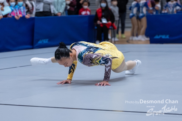 _DES6523