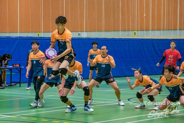 sportsoho運動版圖