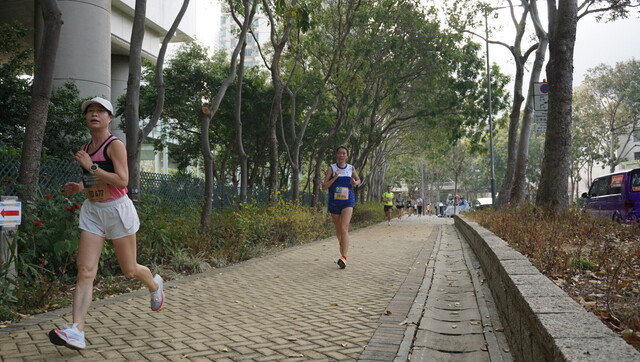 DSC08784