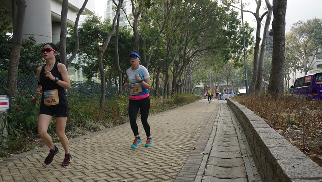 DSC08790
