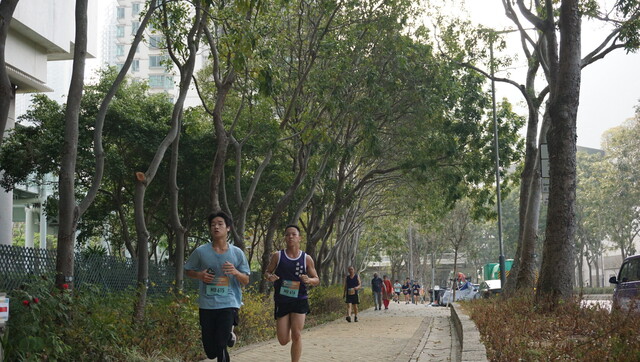 DSC09018