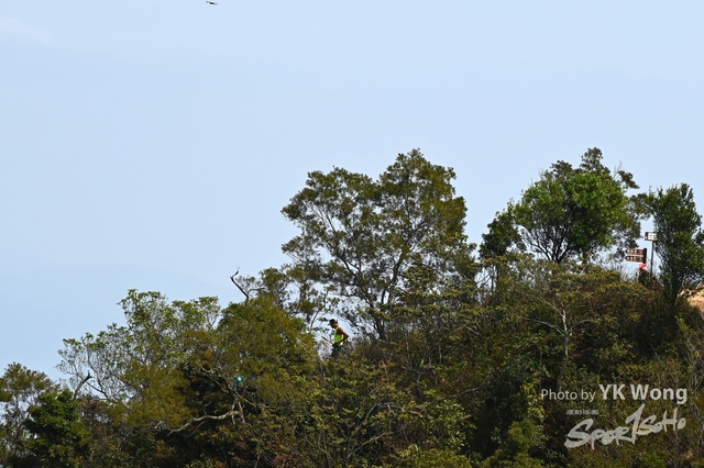 Z62_6263A