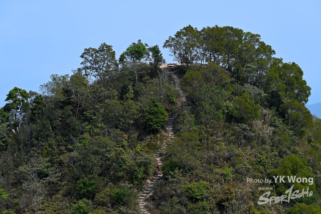 Z62_6628A