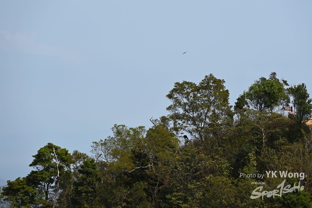 Z62_6672A