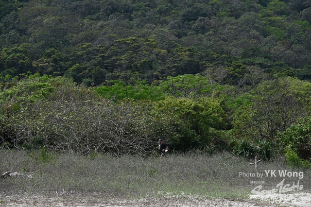 Z62_8121A