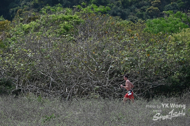 Z62_8230A