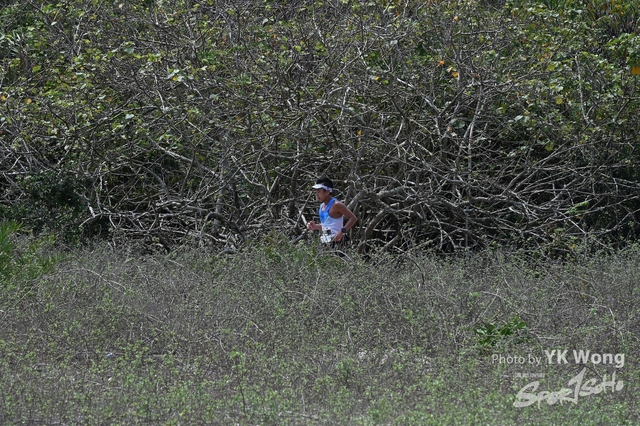 Z62_8311A