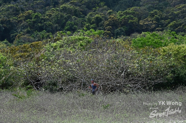 Z62_8360A