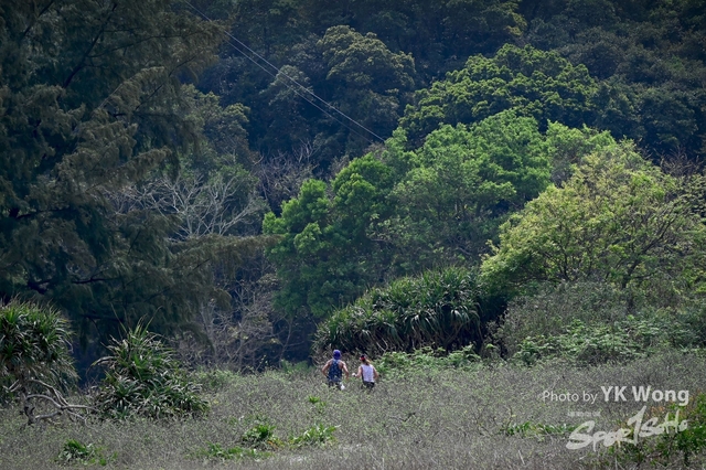 Z62_8374A