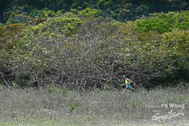 Z62_8467A