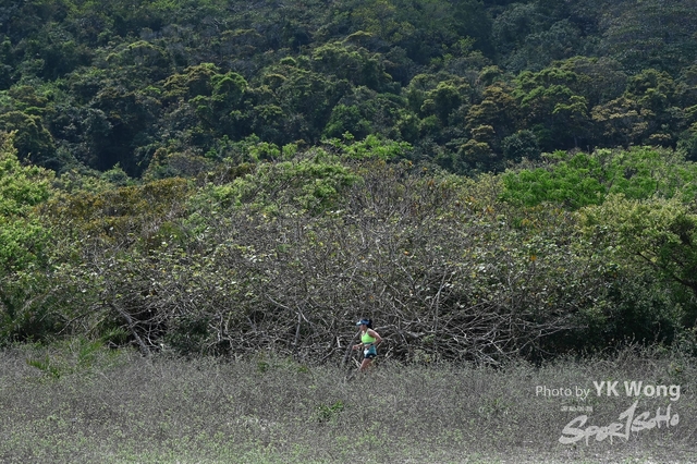 Z62_8471A