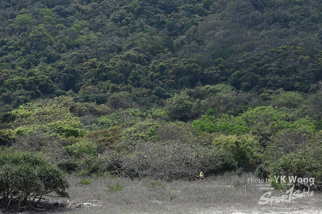 Z62_8485A