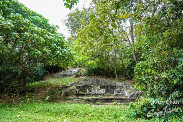DSC08139