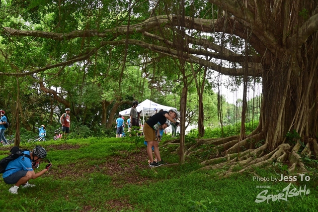DZ6_0037-2