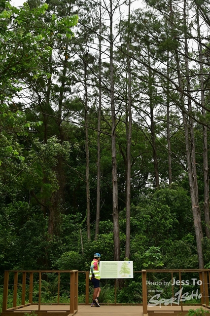 DZ6_0073-2