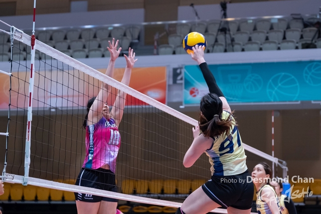 20230507 volley A1 G-_DAC9806