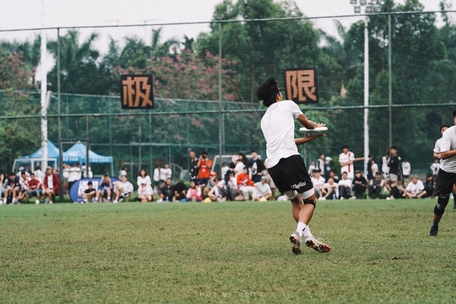 DSC06055