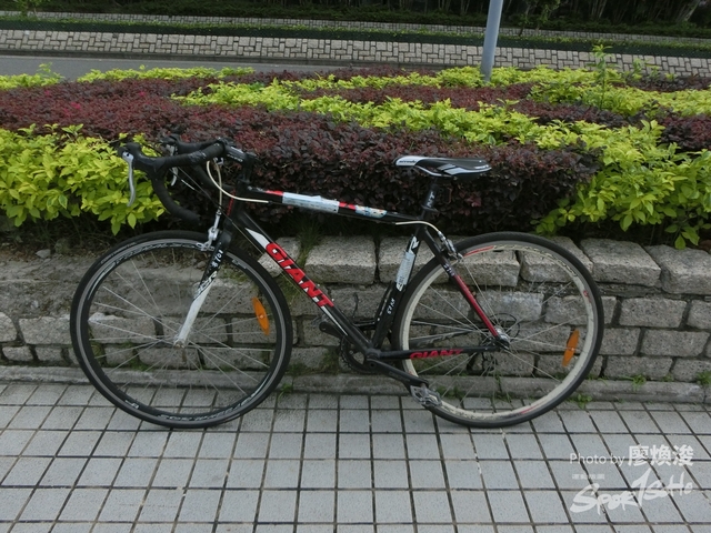 sportsoho運動版圖