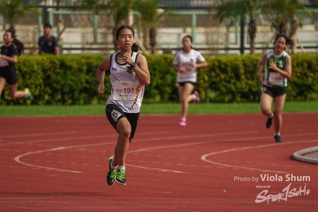 20230923_WAC_viola_DSC07088