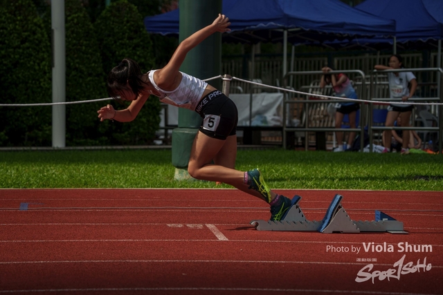 20230923_WAC_viola_DSC07092