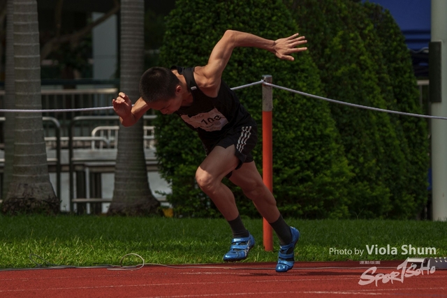 20230923_WAC_viola_DSC07098