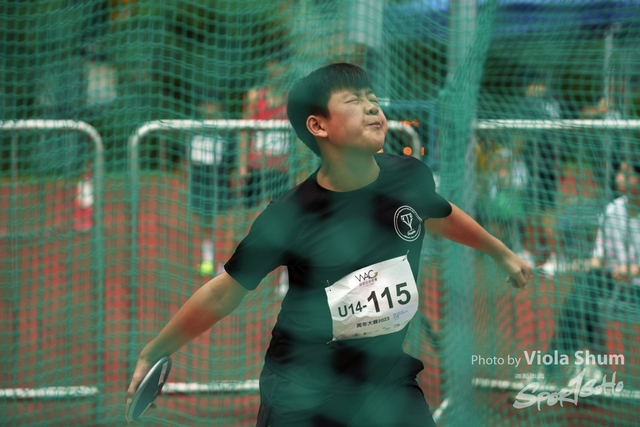 20230923_WAC_viola_DSC07205