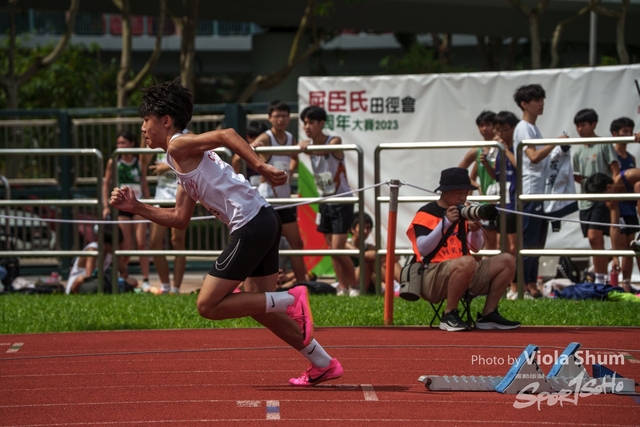 20230923_WAC_viola_DSC07305