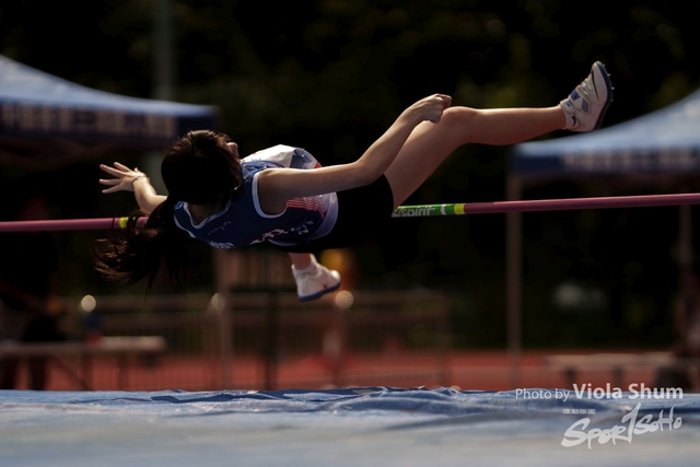 20230923_WAC_viola_DSC07336