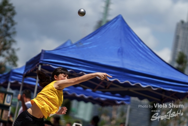 20230923_WAC_viola_DSC07546