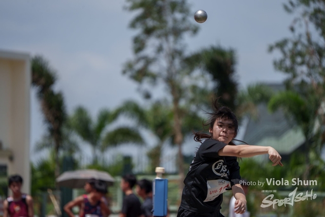 20230923_WAC_viola_DSC07631