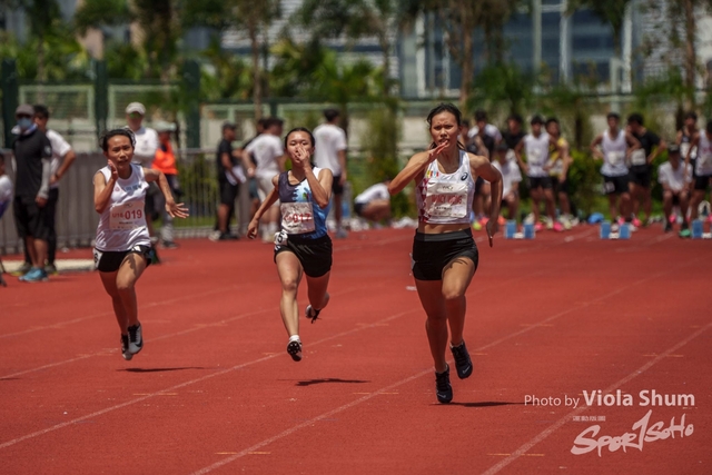 20230923_WAC_viola_DSC07635