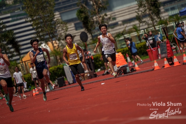 20230923_WAC_viola_DSC07642
