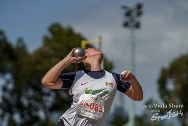20230923_WAC_viola_DSC07781