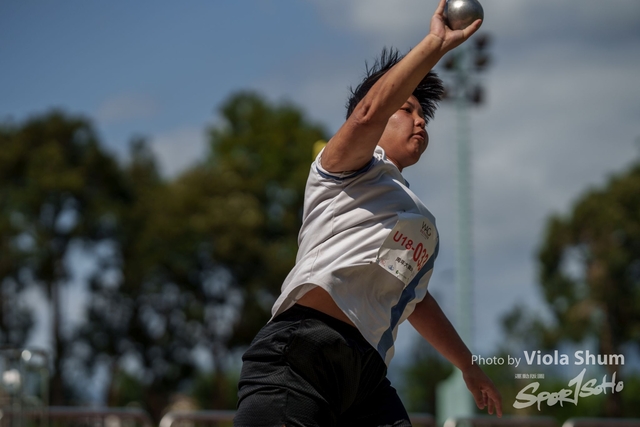 20230923_WAC_viola_DSC07787