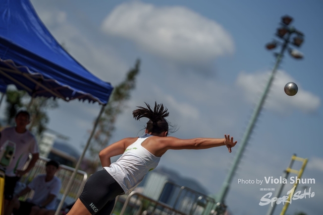 20230923_WAC_viola_DSC07794