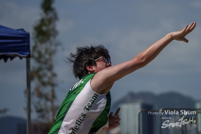 20230923_WAC_viola_DSC07803