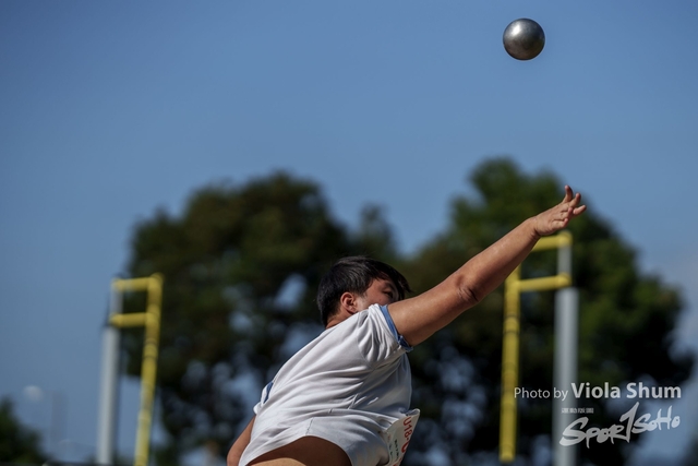 20230923_WAC_viola_DSC07951