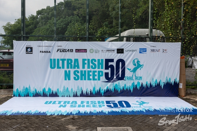 231028_Fise_n_Sheep-2