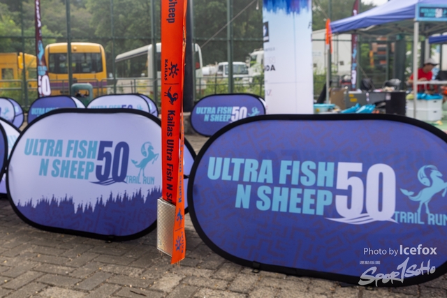 231028_Fise_n_Sheep-3