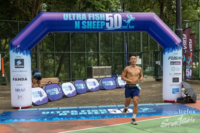 231028_Fise_n_Sheep-100
