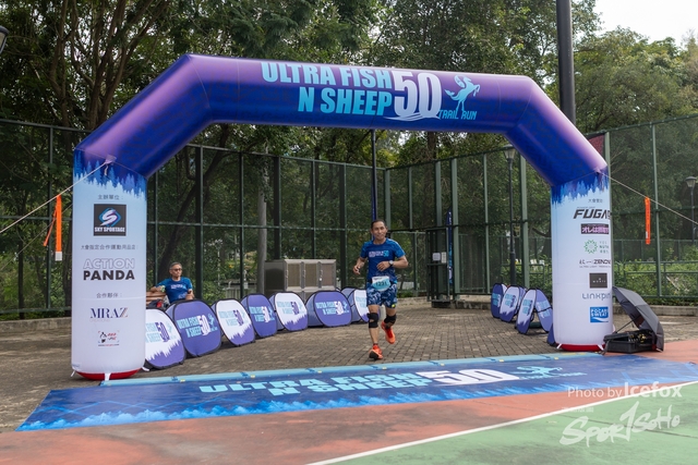 231028_Fise_n_Sheep-154