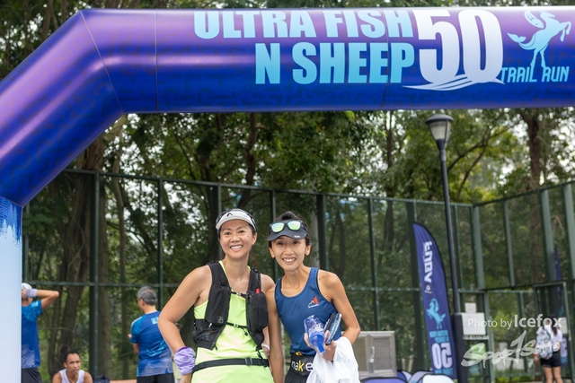 231028_Fise_n_Sheep-214