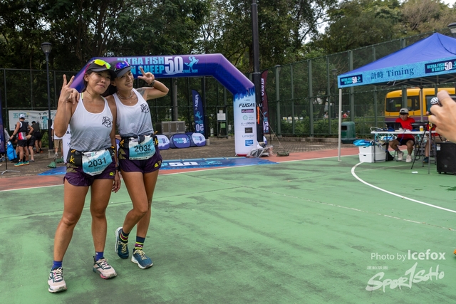 231028_Fise_n_Sheep-229