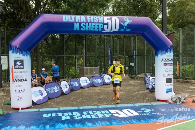 231028_Fise_n_Sheep-253