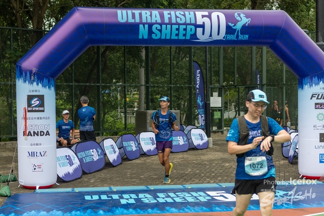231028_Fise_n_Sheep-258