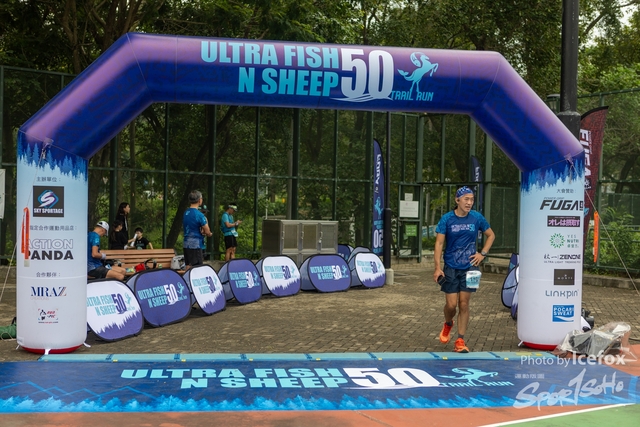 231028_Fise_n_Sheep-284
