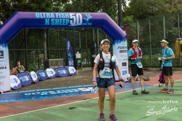 231028_Fise_n_Sheep-300